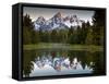 Sunrise on the Beaver Pond in Grand Teton National Park, Wyoming-Ian Shive-Framed Stretched Canvas