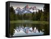 Sunrise on the Beaver Pond in Grand Teton National Park, Wyoming-Ian Shive-Framed Stretched Canvas