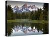 Sunrise on the Beaver Pond in Grand Teton National Park, Wyoming-Ian Shive-Stretched Canvas