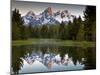 Sunrise on the Beaver Pond in Grand Teton National Park, Wyoming-Ian Shive-Mounted Photographic Print