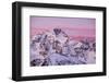 Sunrise on the Disgrazia Mountain in Winter, Malenco Valley, Lombardy, Italy-ClickAlps-Framed Photographic Print