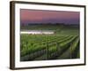 Sunrise on the Fog Behind Vineyard in Napa Valley, California, USA-Janis Miglavs-Framed Photographic Print