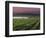 Sunrise on the Fog Behind Vineyard in Napa Valley, California, USA-Janis Miglavs-Framed Photographic Print