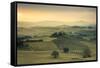 Sunrise on the gentle green hills of Val d'Orcia, UNESCO World Heritage Site, Province of Siena, Tu-Roberto Moiola-Framed Stretched Canvas