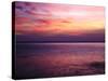 Sunrise on the Mediterrannean Sea, Collioure, Languedoc-Roussillon, France, Mediterranean, Europe-Mark Mawson-Stretched Canvas