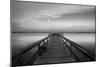 Sunrise on the Pier at Terre Ceia Bay, Florida, USA-Richard Duval-Mounted Premium Photographic Print