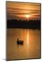 Sunrise on the Tonle Sap River Near the Village of Kampong Tralach, Cambodia, Indochina-Michael Nolan-Mounted Photographic Print