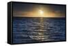 Sunrise on the Tropical, Pacific Island of Rarotonga, Cook Islands, South Pacific, Pacific-Matthew Williams-Ellis-Framed Stretched Canvas
