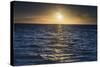 Sunrise on the Tropical, Pacific Island of Rarotonga, Cook Islands, South Pacific, Pacific-Matthew Williams-Ellis-Stretched Canvas
