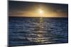 Sunrise on the Tropical, Pacific Island of Rarotonga, Cook Islands, South Pacific, Pacific-Matthew Williams-Ellis-Mounted Photographic Print