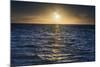 Sunrise on the Tropical, Pacific Island of Rarotonga, Cook Islands, South Pacific, Pacific-Matthew Williams-Ellis-Mounted Photographic Print
