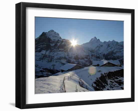 Sunrise on the Wetterhorn, Seen from First, Grindelwald, Bernese Oberland, Swiss Alps, Switzerland,-Hans Peter Merten-Framed Photographic Print