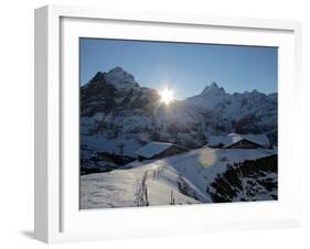 Sunrise on the Wetterhorn, Seen from First, Grindelwald, Bernese Oberland, Swiss Alps, Switzerland,-Hans Peter Merten-Framed Photographic Print