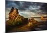 Sunrise on tufa formations, Mono Lake, Tufa State Natural Reserve, California-Adam Jones-Mounted Photographic Print