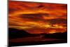 Sunrise, Otago Harbor, Dunedin, South Island, New Zealand-David Wall-Mounted Photographic Print