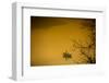 Sunrise over a Boat on the Taj Mahal Lake, Agra, Uttar Pradesh, India, Asia-Laura Grier-Framed Photographic Print