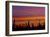 Sunrise over a boreal forest, Ft. Resolution, Canada.-Mike Grandmaison-Framed Photographic Print