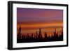 Sunrise over a boreal forest, Ft. Resolution, Canada.-Mike Grandmaison-Framed Photographic Print