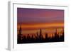 Sunrise over a boreal forest, Ft. Resolution, Canada.-Mike Grandmaison-Framed Photographic Print