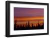 Sunrise over a boreal forest, Ft. Resolution, Canada.-Mike Grandmaison-Framed Photographic Print