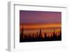 Sunrise over a boreal forest, Ft. Resolution, Canada.-Mike Grandmaison-Framed Photographic Print