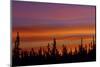 Sunrise over a boreal forest, Ft. Resolution, Canada.-Mike Grandmaison-Mounted Photographic Print