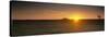 Sunrise over a Grassland, North Dakota, USA-null-Stretched Canvas