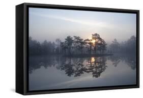 Sunrise over a Lake in Light Mist, Bergslagen, Sweden, April 2009-Cairns-Framed Stretched Canvas