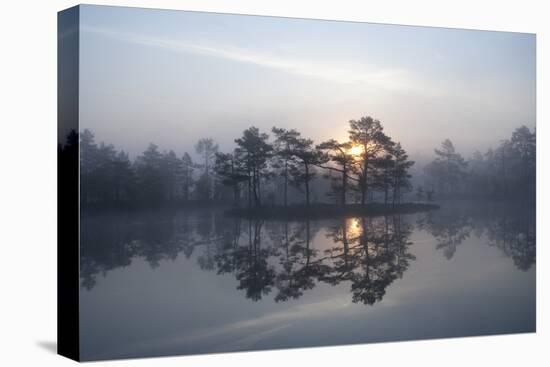 Sunrise over a Lake in Light Mist, Bergslagen, Sweden, April 2009-Cairns-Stretched Canvas