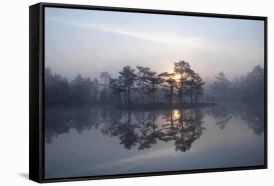 Sunrise over a Lake in Light Mist, Bergslagen, Sweden, April 2009-Cairns-Framed Stretched Canvas