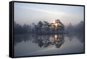 Sunrise over a Lake in Light Mist, Bergslagen, Sweden, April 2009-Cairns-Framed Stretched Canvas