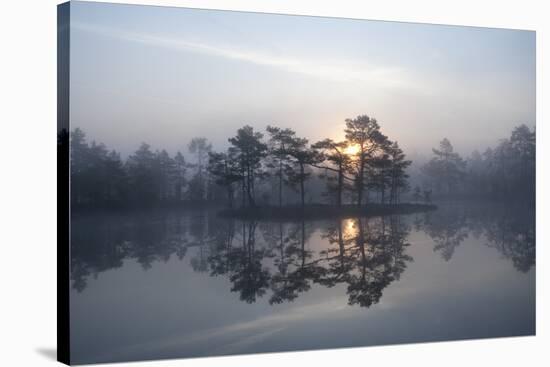 Sunrise over a Lake in Light Mist, Bergslagen, Sweden, April 2009-Cairns-Stretched Canvas