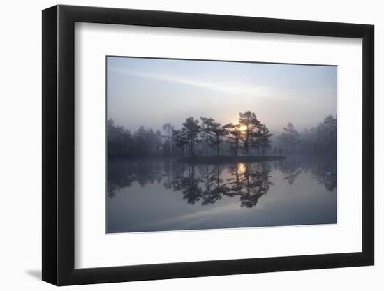 Sunrise over a Lake in Light Mist, Bergslagen, Sweden, April 2009-Cairns-Framed Premium Photographic Print