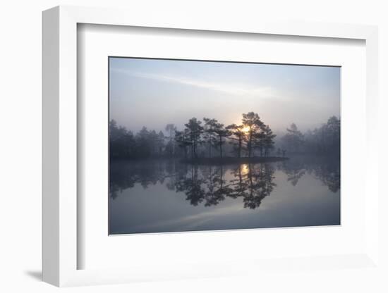 Sunrise over a Lake in Light Mist, Bergslagen, Sweden, April 2009-Cairns-Framed Photographic Print