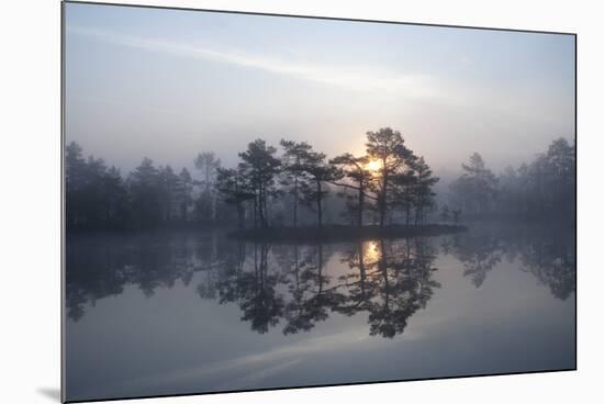 Sunrise over a Lake in Light Mist, Bergslagen, Sweden, April 2009-Cairns-Mounted Photographic Print