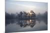 Sunrise over a Lake in Light Mist, Bergslagen, Sweden, April 2009-Cairns-Mounted Photographic Print