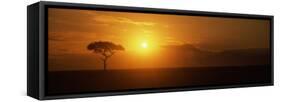 Sunrise over a Landscape, Masai Mara National Reserve, Kenya-null-Framed Stretched Canvas