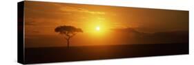 Sunrise over a Landscape, Masai Mara National Reserve, Kenya-null-Stretched Canvas