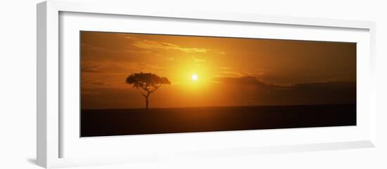 Sunrise over a Landscape, Masai Mara National Reserve, Kenya-null-Framed Photographic Print