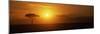 Sunrise over a Landscape, Masai Mara National Reserve, Kenya-null-Mounted Photographic Print