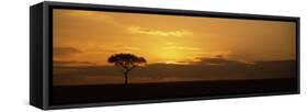 Sunrise over a Landscape, Masai Mara National Reserve, Kenya-null-Framed Stretched Canvas