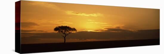 Sunrise over a Landscape, Masai Mara National Reserve, Kenya-null-Stretched Canvas