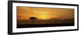 Sunrise over a Landscape, Masai Mara National Reserve, Kenya-null-Framed Photographic Print