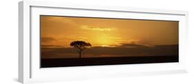 Sunrise over a Landscape, Masai Mara National Reserve, Kenya-null-Framed Photographic Print