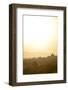 Sunrise over Ancient Temples of Bagan, Myanmar-Harry Marx-Framed Photographic Print