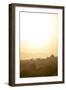 Sunrise over Ancient Temples of Bagan, Myanmar-Harry Marx-Framed Photographic Print