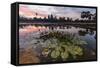 Sunrise over Angkor Wat-Michael Nolan-Framed Stretched Canvas