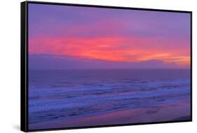 Sunrise over Atlantic Ocean, Florida, USA-null-Framed Stretched Canvas