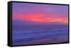 Sunrise over Atlantic Ocean, Florida, USA-null-Framed Stretched Canvas