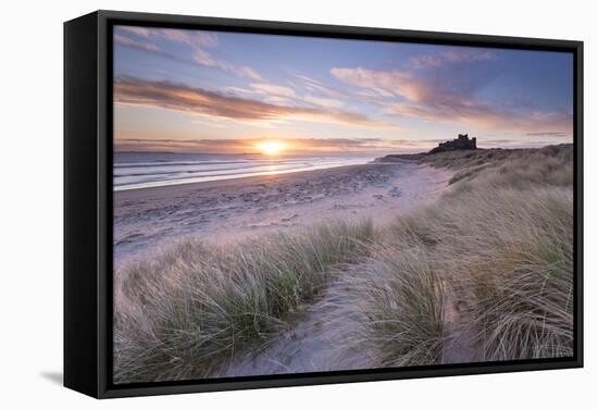 Sunrise over Bamburgh Beach and Castle from the Sand Dunes, Northumberland, England. Spring (March)-Adam Burton-Framed Stretched Canvas